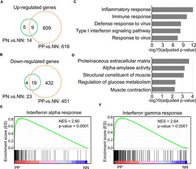 Immune Cell Infiltration Analysis Demonstrates Excessive Mast Cell Activation in Psoriasis